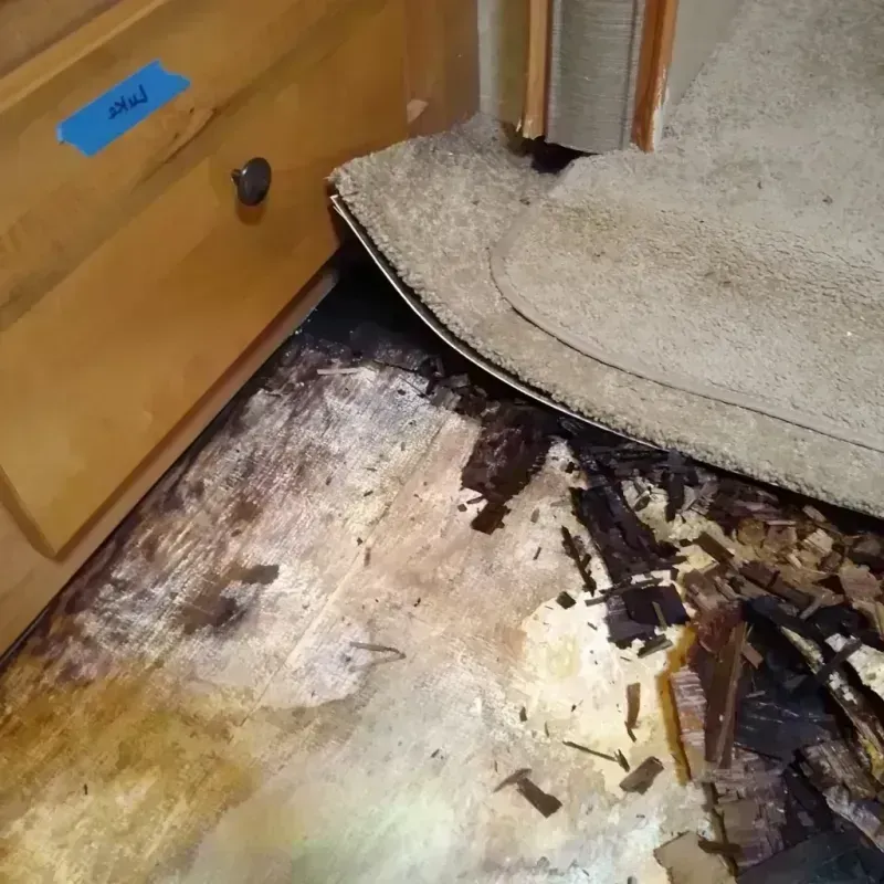 Wood Floor Water Damage in Douglas County, MO